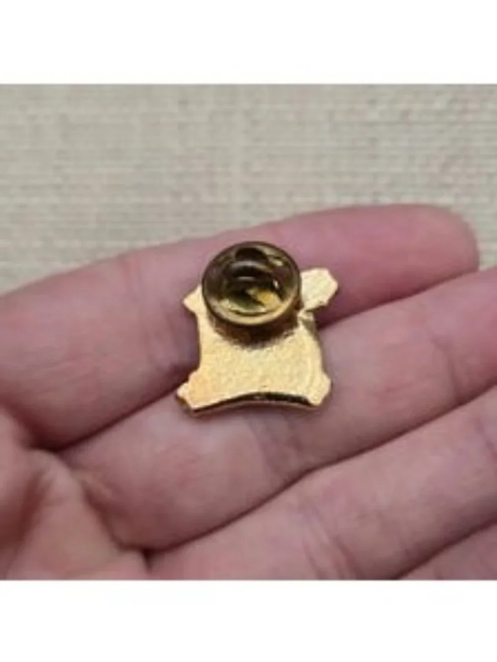 Vintage Student of the Month Scroll Lapel Pin School Award Badge A8391